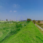14.IMG_0089-Edit-Edit