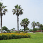 31. MALECÓN1