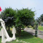 32. MALECÓN1